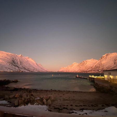 House Of Ellie Bed and Breakfast Ersfjordbotn Εξωτερικό φωτογραφία